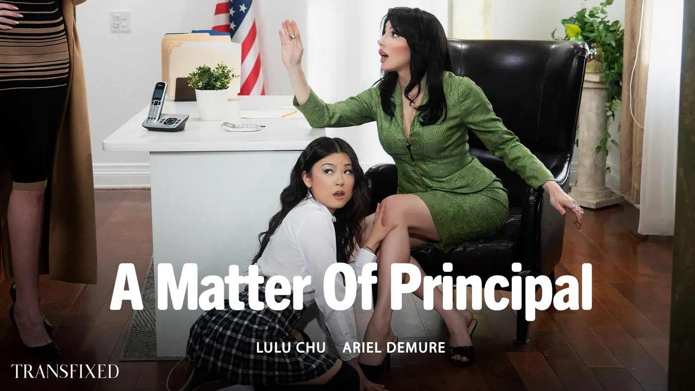 Una CuestióN De Principios – A Matter Of Principal – Transfixed