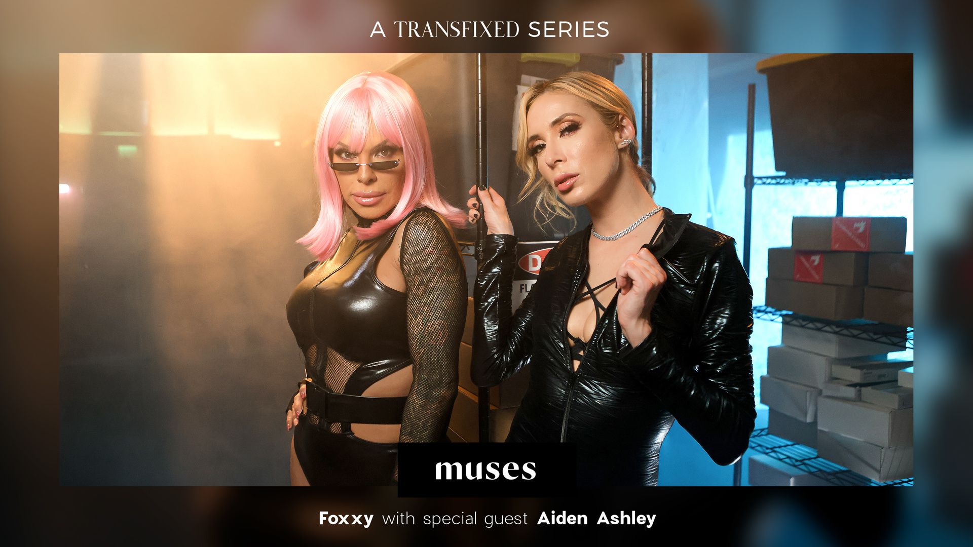 Musas: Ts Foxxy – Muses: Ts Foxxy – Muses
