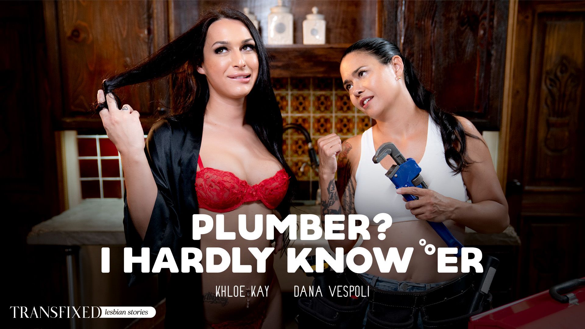 ¿Plomero? Casi No La Conozco – Plumber? I Hardly Know ‘er – Transfixed